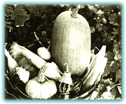 023-048-01-The-Pumpkin