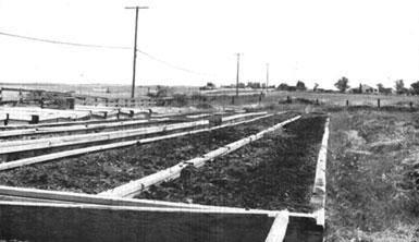 023-062-01-Raising-earthwor