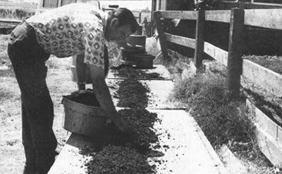 023-062-01-Muzzin-picking-w