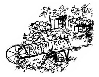 023-084-01-Apples