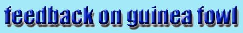 feedback-on-guinea
