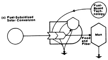 027-006-01-subsidized-agriculture