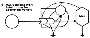 027-006-01-major-partner