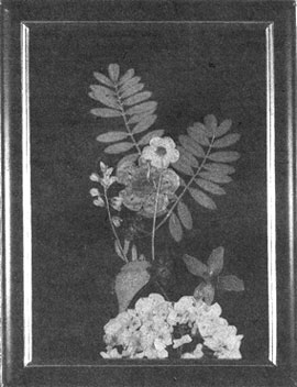 027-028-01-framing-flowers2