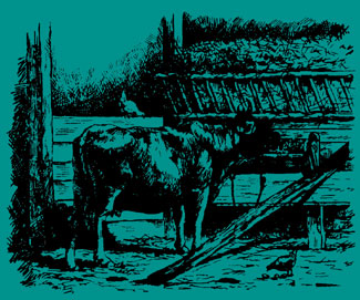 027-030-01-breeding-calves