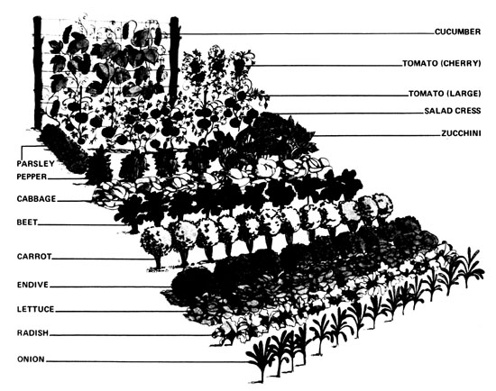 027-040-01-picture24