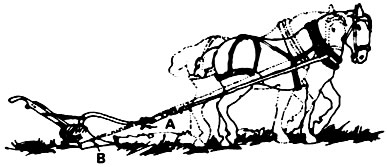 027-076-01-correct_incorrect1