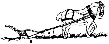 027-076-01-correct_incorrect2