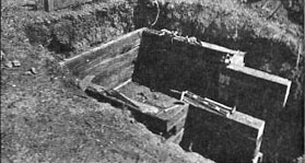 Root cellar in process 2