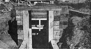 Root cellar in process 3