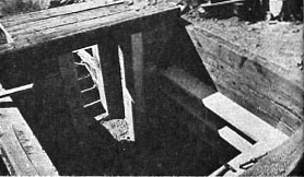 Root cellar in process 4