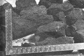 031-092-01-peat-chunks