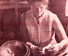 034-034-01-juicy-fruits