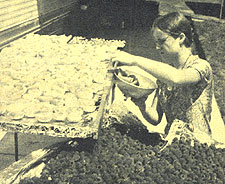 034-034-01-paper-backing