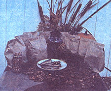 034-034-01-amazing-vareity