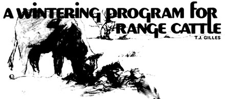 035-029-01-title-image