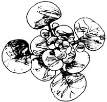 035-centerfold-01-im2