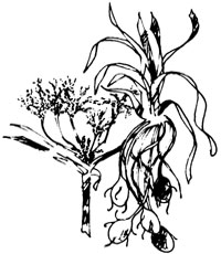 035-centerfold-01-image3