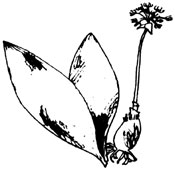 035-centerfold-01-im4