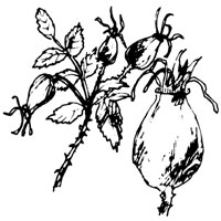 035-centerfold-01-im5