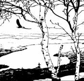 038-065-01-cache-lake-count