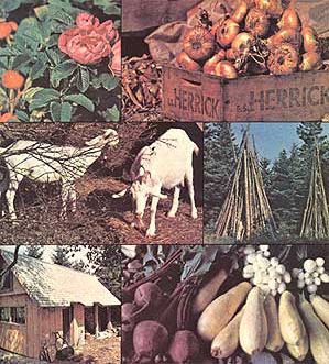 039-072-01-farm-photo2