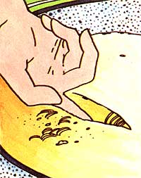 039-centerfold-01-imstep1