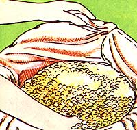 039-centerfold-01-imstep10