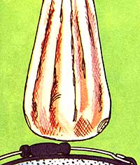 039-centerfold-01-imstep13