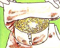 039-centerfold-01-imstep14