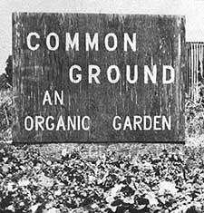 039-110-01-common-ground