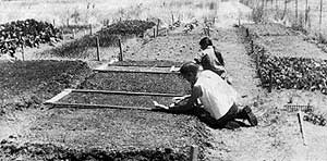 039-110-01-gardening