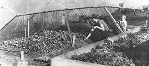 039-110-01-gardening2