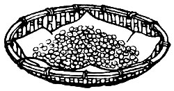 039-040-01-Fried-Soybeans