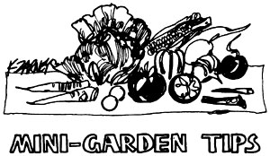 039-048-01-mini-garden