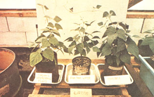 039-032-01-aquaculture-hydr