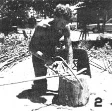 043-072-01-gather-willow