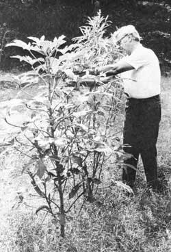 043-088-01-Roscoe-Walker