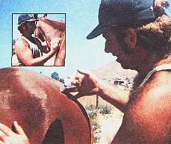 043-090-01-Intramuscular-sh