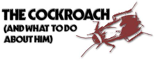 043-128-01-cockroach