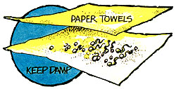 043-090-02-paper-towels