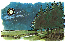 043-090-02-weather-wisdom