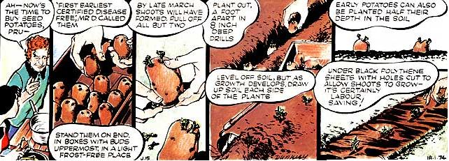 043-110-02-Mr.-Digwell_01