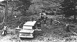 043-098-01-Hoedads-Oregons