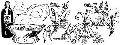 045-116-01-watercress