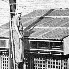 045-036-01-George-Brown