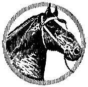 045-078-01-Horse