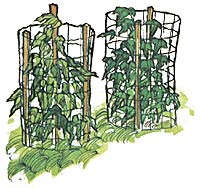 045-CF-01-vine-towers