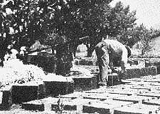 046-040-01-bricks-on-edge