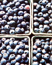 046-054-01-blueberries